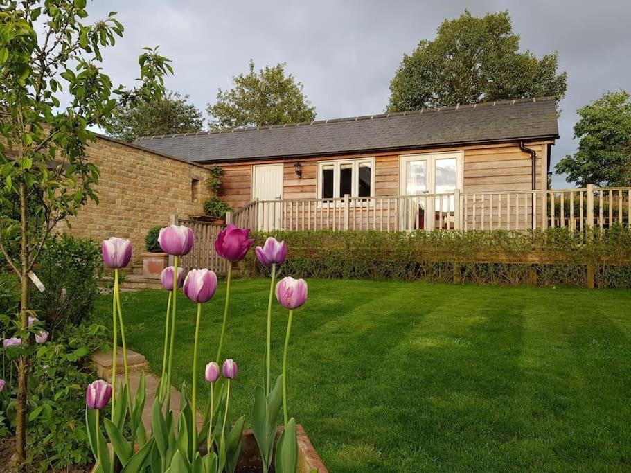 Charming Cottage Surrounded By Idyllic Garden In Peaceful Location In Central Чарлбері Екстер'єр фото